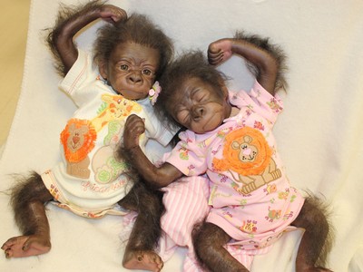 reborn baby gorilla